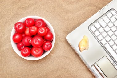 dizüstü bilgisayar, Erik ve kabuk kum üzerinde