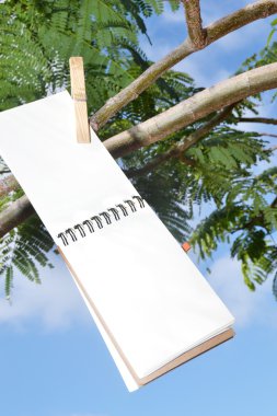 bir ağaca tutunan defter