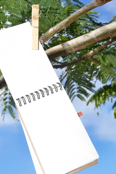 Notebook hängande från ett träd — Stockfoto
