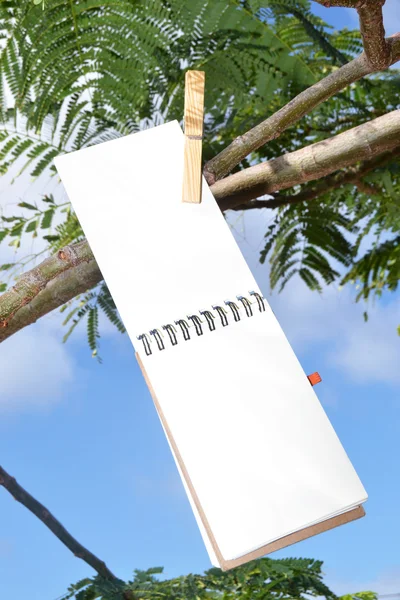 Notebook hanging from a tree — Stock Photo, Image