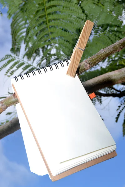 Notizbuch hängt an einem Baum — Stockfoto