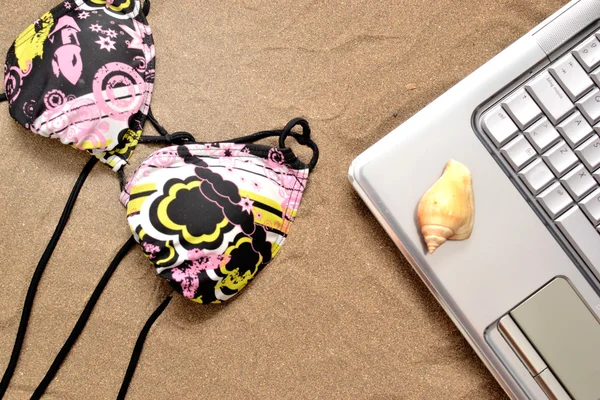 Bikinit, kannettava tietokone ja kuori hiekalla — kuvapankkivalokuva