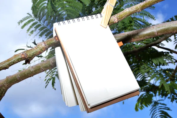 Notebook hängande från ett träd — Stockfoto