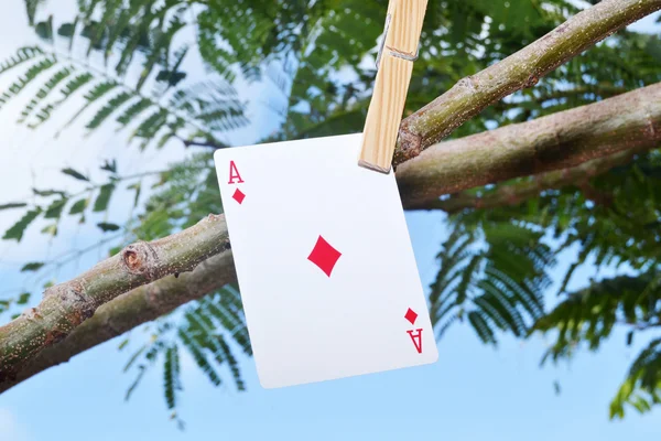 Poker card hanging from the tree — Stock Photo, Image