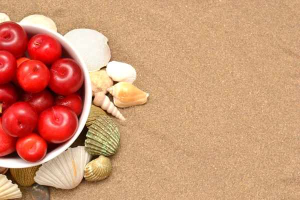 Plums and shells — Stock Photo, Image