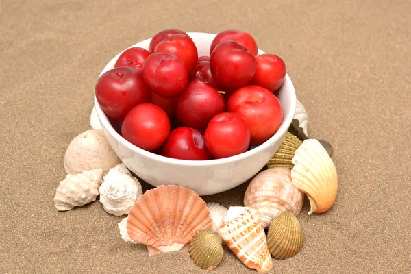 Plums and shells — Stock Photo, Image