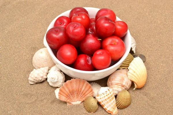 Plums and shells — Stock Photo, Image