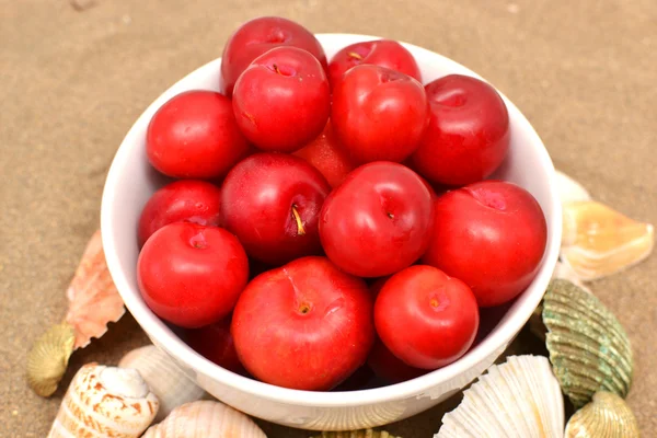 Plums and shells — Stock Photo, Image