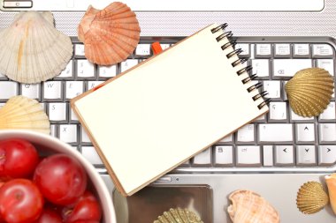 dizüstü bilgisayar, kabukları, kırmızı Erik ve defter