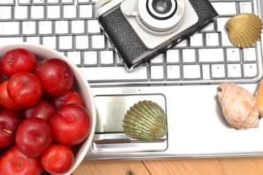 dizüstü bilgisayar, Erik ve kabukları ahşap ve kum