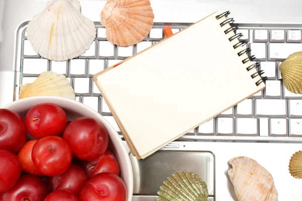 Laptop, shells, red plums and notebook — Stock Photo, Image