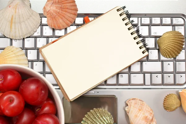 Laptop, shells, red plums and notebook — Stock Photo, Image