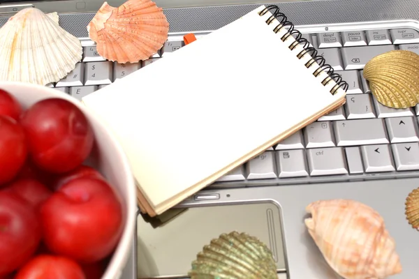 Laptop, shells, red plums and notebook — Stock Photo, Image