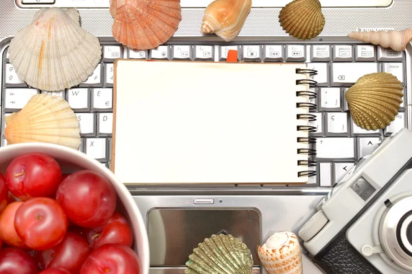 Laptop, shells, red plums and notebook — Stock Photo, Image