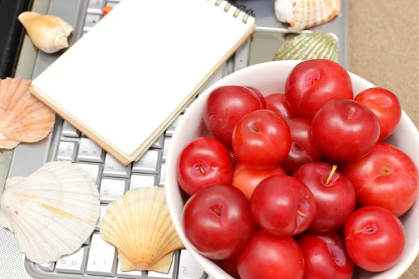 Laptop, plums and shells on wood — Stock Photo, Image