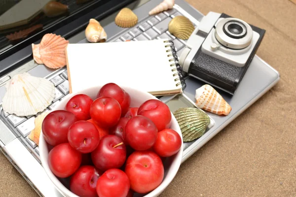 Ordinateur portable, prunes et coquillages sur bois — Photo
