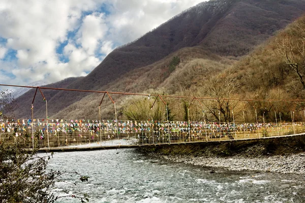 A suspension bridge across the River in the gorge on their way to Lake Ritsa in Abkhazia — Stock Photo, Image