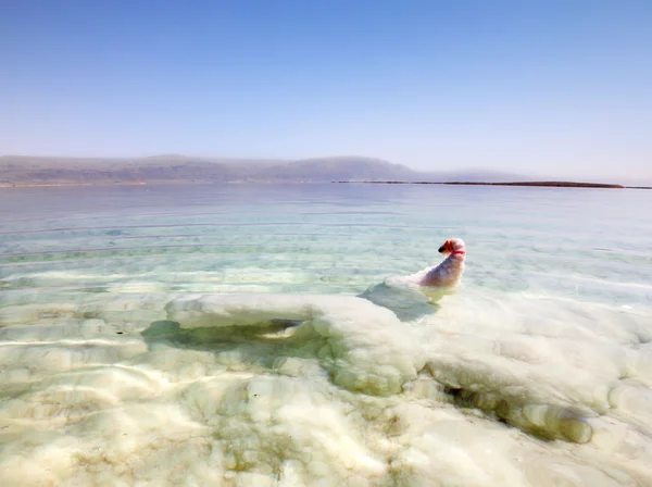 Bizarre Salzformationen am Toten Meer in Island — Stockfoto
