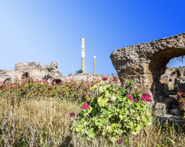 antonius Kartaca Tunus hamamları