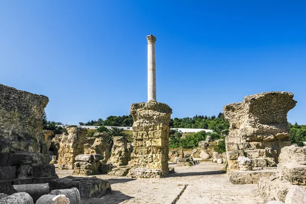 Terme di Antonio a Cartagine Tunisia — Foto Stock