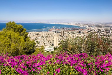 liman ve haifa İsrail ' Mount carmel görüntüleyin
