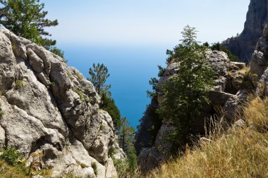 Dağ tepelerinden manzara