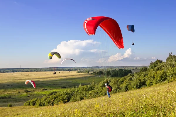 De multiples parapentes volent dans l'air au milieu d'un paysage merveilleux — Photo