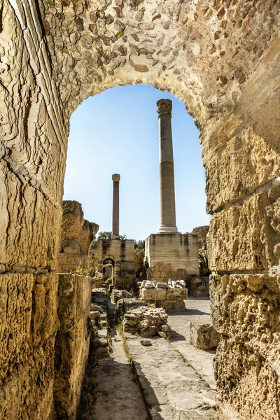 Antonius Kartaca Tunus hamamları — Stok fotoğraf