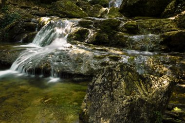 Taşlar arasında bir ormanda dere akar. uzun buluşması.