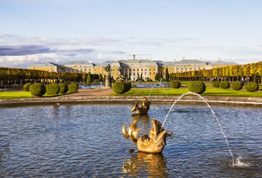 En iyi park ensemble peterhof, Neptün Çeşmesi