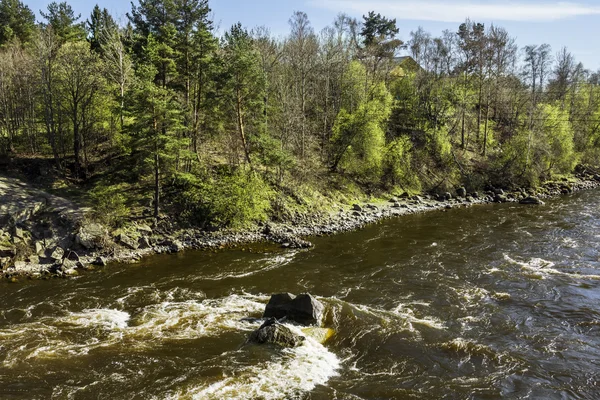 The Rapids on the river Vuoksa near Losevo station — Stock Photo, Image