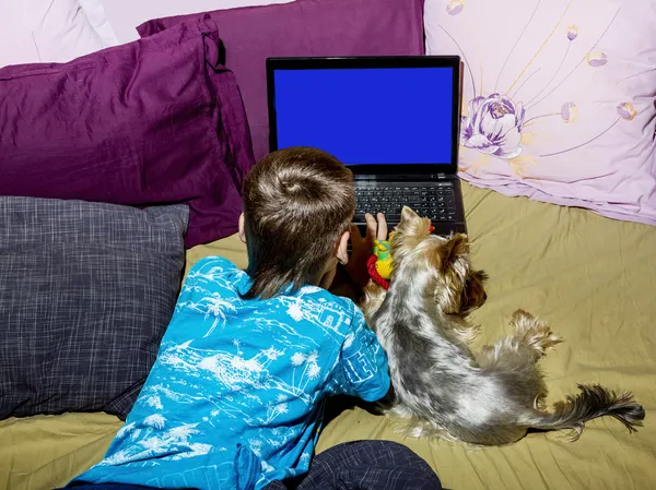 Un niño pequeño con un perrito mirando un ordenador portátil acostado en ser —  Fotos de Stock