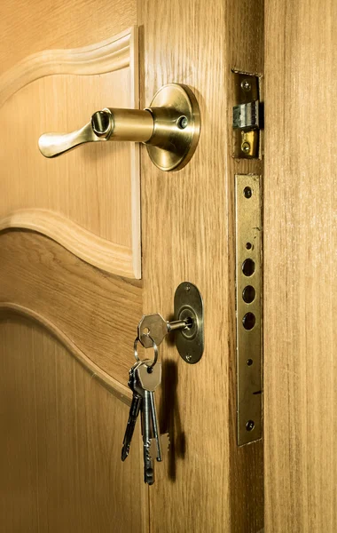 Pedazo de madera de una puerta de roble con un mango y un montón de llaves i — Foto de Stock