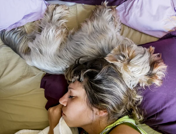 Bir kız ile birlikte bir köpek yatakta uyur. — Stok fotoğraf