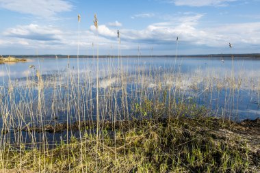 Güneşli bir yaz gününde Gölün güzel manzarası