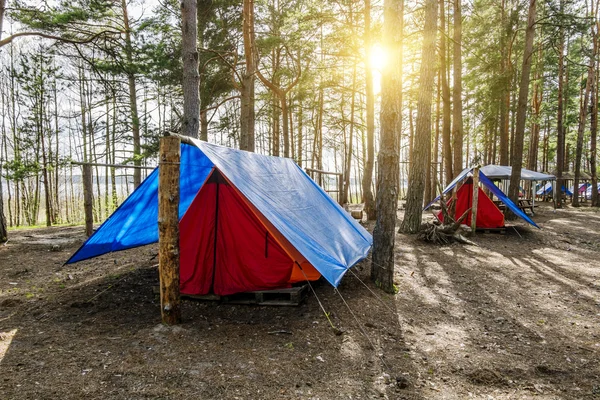 Le tende sono in piedi nella foresta — Zdjęcie stockowe
