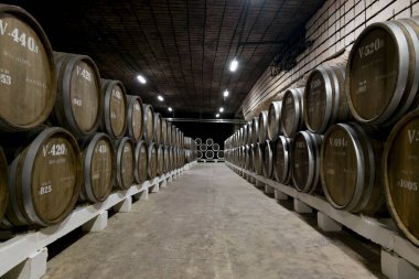 Inkerman. Crimea. 31 Mayıs 2021. Kırım 'daki Inkerman şarap mahzeninde şarap fıçıları.