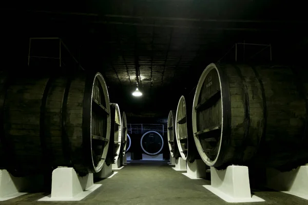 2021年5月31日在克里米亚的Inkerman酿酒厂的酒窖里放着装有葡萄酒的橡木桶 — 图库照片