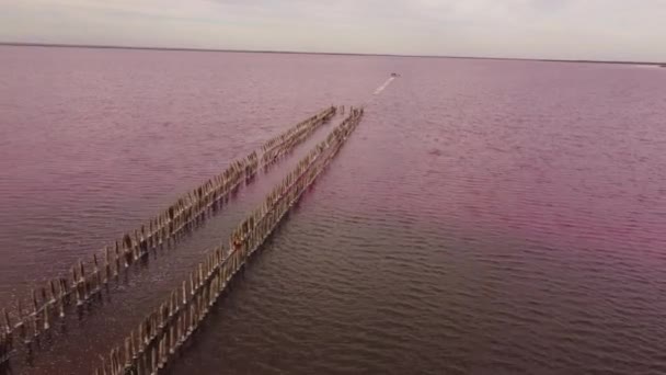 Vista aérea do lago salgado Sasyk-Sivash durante a floração. Evpatoria, Crimeia — Vídeo de Stock