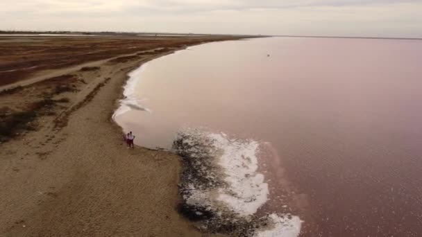 Luchtfoto van het zoutmeer Sasyk-Sivash tijdens de bloei. Yevpatoriya, de Krim — Stockvideo