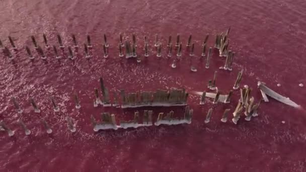 Luchtfoto van het zoutmeer Sasyk-Sivash tijdens de bloei. Yevpatoriya, de Krim — Stockvideo