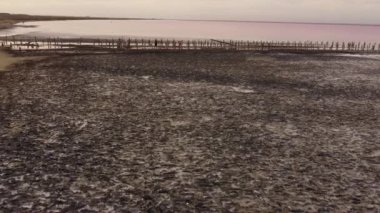 Çiçek açarken tuz gölü Sasyk-Sivash 'ın hava manzarası. Evpatoria, Kırım