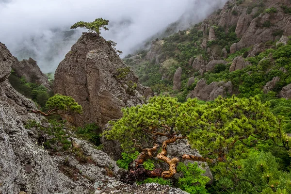 Aerial View Demerdzhi Mountain Range Ghost Valley Crimea Peninsula — Stock Photo, Image