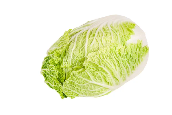 Fresh Chinese Cabbage White Background Studio Shot Cabbage Isolate — Stock Photo, Image