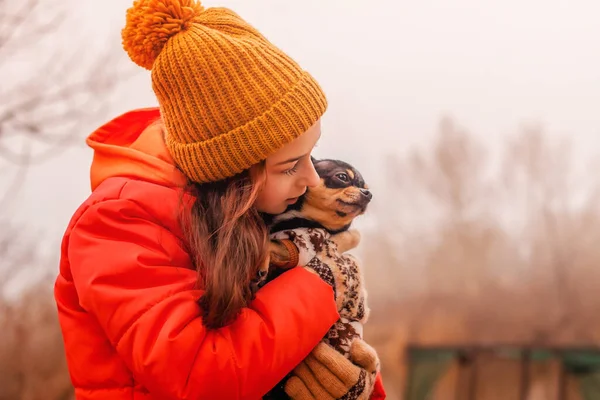 Chihuahua Hund Och Tonåring Liten Flicka Med Sitt Husdjur Chihuahua — Stockfoto