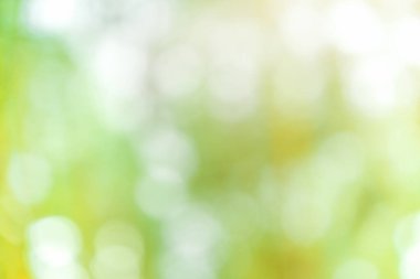 Ormandaki güneş ışığının ışığını yok et. Bulanık doğal yeşil arkaplan.