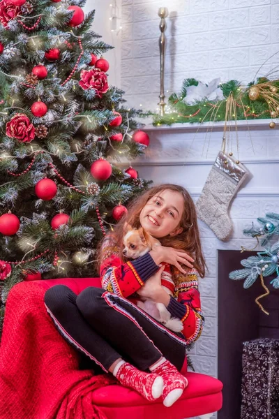 Dziewczyna Psem Chihuahua Uścisku Przy Choince Boże Narodzenie Święta Noworoczne — Zdjęcie stockowe