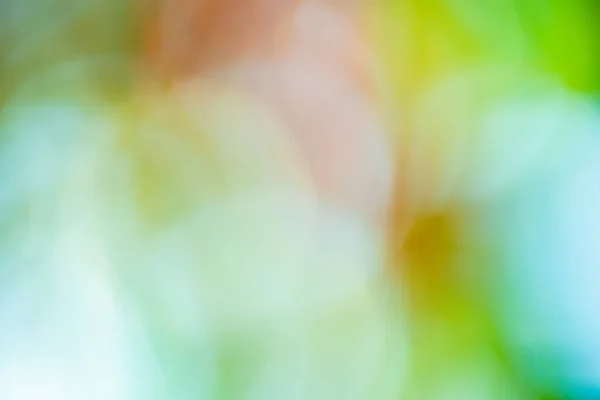 Дефокус Світло Зелений Червоно Жовтий Фон Натуральний Зелений Фон — стокове фото