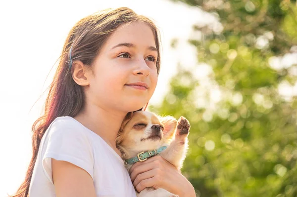 Uma Rapariga Shirt Branca Menina Adolescente Feliz Com Cão Chihuahua — Fotografia de Stock
