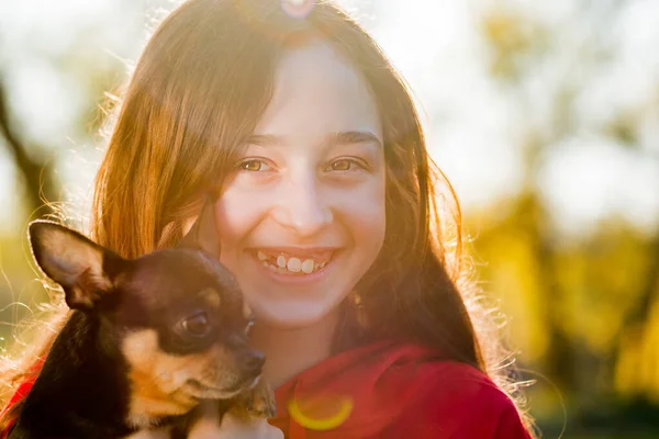 Oameni Animale Companie Adolescentă Câine Negru Chihuahua Fundalul Naturii Într — Fotografie, imagine de stoc